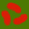 shandou